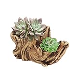 YARNOW Künstliche Treibholz Pflanzer Skulptur Harz Sukkulenten Pflanzer Rustikale Kaktus Behälter Blumentopf Treibholz Stamm Stumpf Log Dekorative Pflanzer Topf